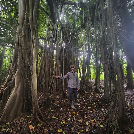 Hospedaje Y Tours Reina Arriera Amazonas Colombia Macedonia Exteriör bild