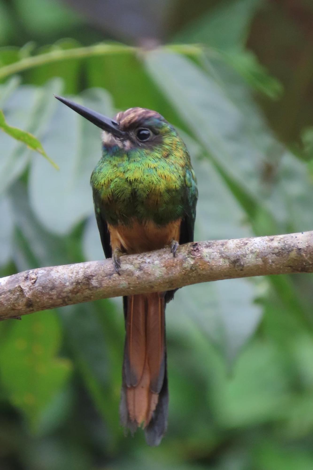 Hospedaje Y Tours Reina Arriera Amazonas Colombia Macedonia Exteriör bild