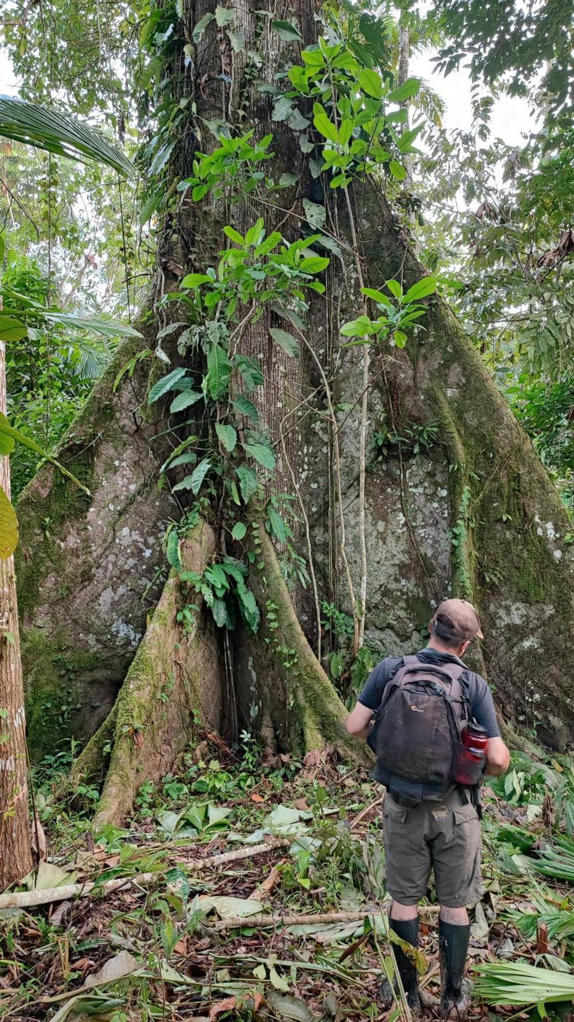 Hospedaje Y Tours Reina Arriera Amazonas Colombia Macedonia Exteriör bild