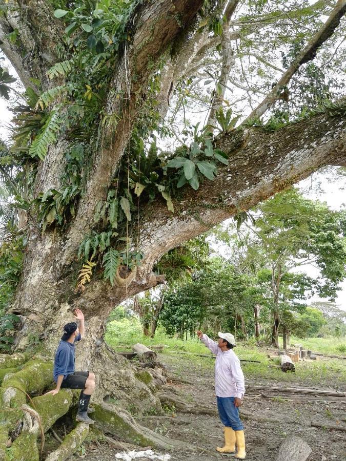 Hospedaje Y Tours Reina Arriera Amazonas Colombia Macedonia Exteriör bild